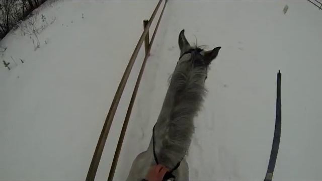 Emil Eriksson - Training a new horse part 2 смотреть онлайн