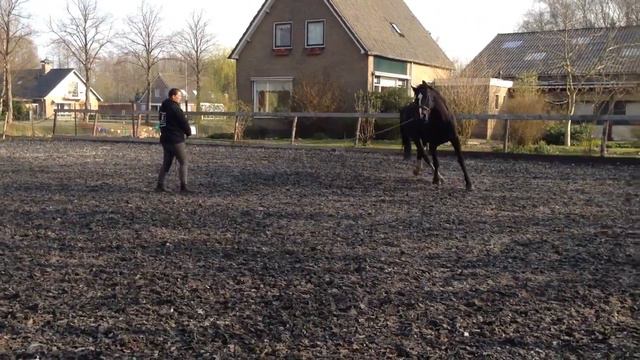 Longeren Madeleine met Topper смотреть онлайн