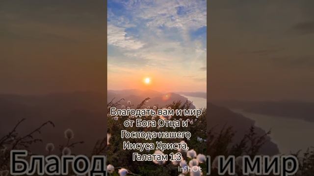 Добрый вечер 🌙 смотреть онлайн