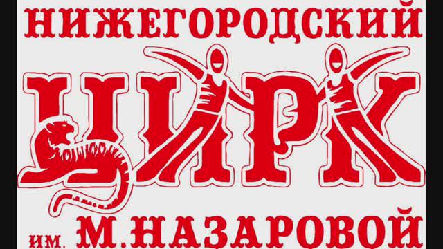 Паспорт доступности Нижегородского цирка смотреть онлайн