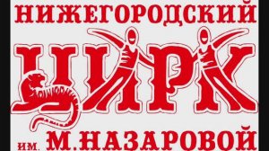 Паспорт доступности Нижегородского цирка