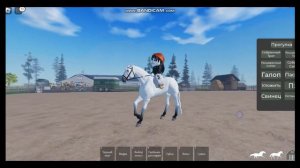 ROBLOX/Помощь новичкам в МСЕ . Где взять лошадь ?Где взять деньги?