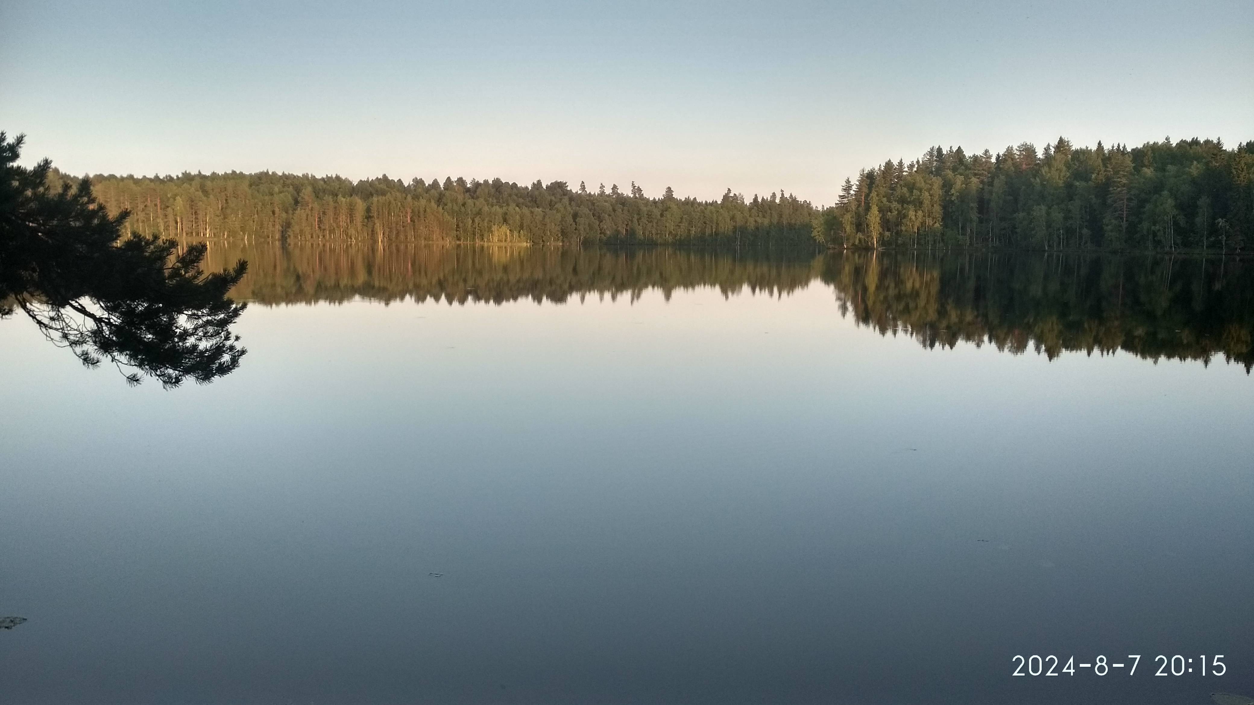 Карелия, подводная охота лесное озеро (август 2024)