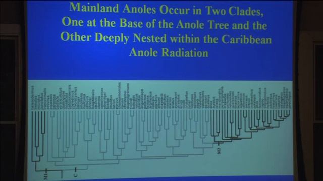 Storer Lectureship feat. Jonathon Losos, Harvard University | January 31, 2013 смотреть онлайн