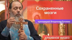 Сохраненные мозги (прот. Владимир Головин, г .Болгар).