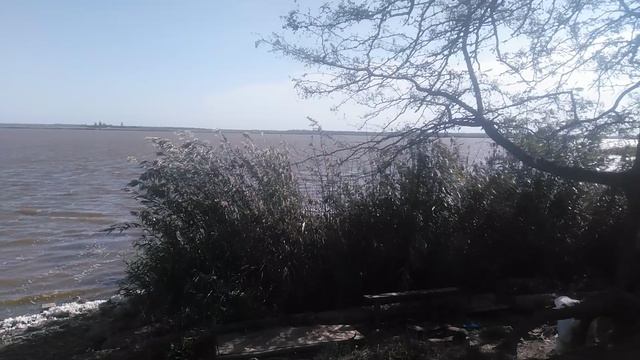 Берег реки природа VID_20240923_092952.mp4