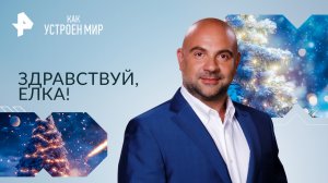 Здравствуй, елка! — Как устроен мир с Тимофеем Баженовым (26.12.2023)