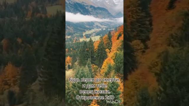 Доброе утро 🌄 смотреть онлайн