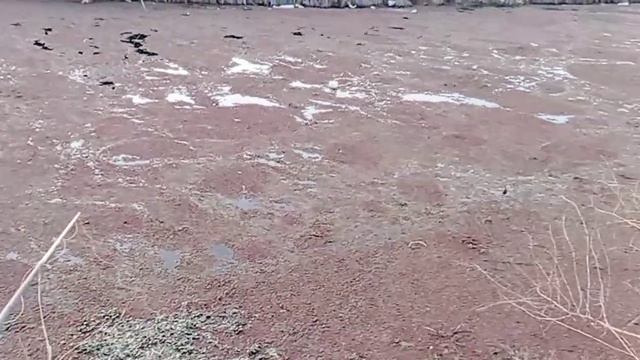 Балик ови Сазан ва Карп каналида Дж Расулов Пролетарск 24 03 2024 й смотреть онлайн