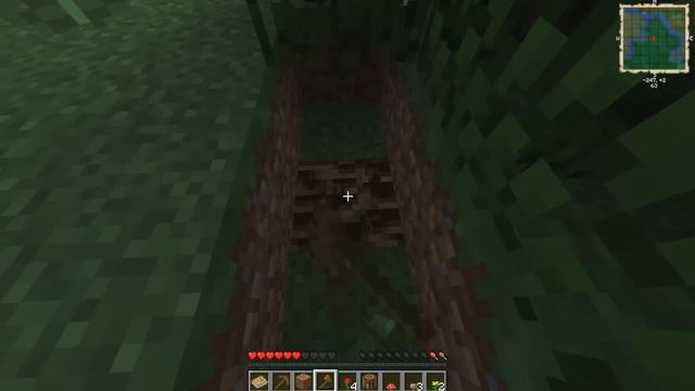 Alkonyat Erdő #1: Megérkeztem! смотреть онлайн