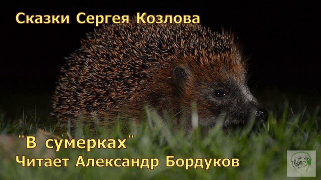 Сказки С. Козлова. В сумерках. смотреть онлайн