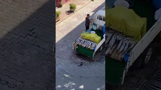 прикол смотреть онлайн