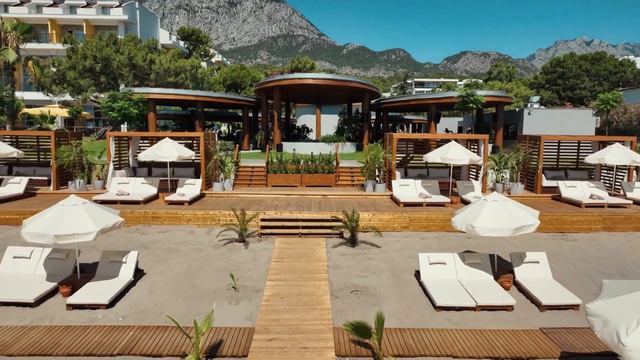 Indigo   Genel   Sherwood 2