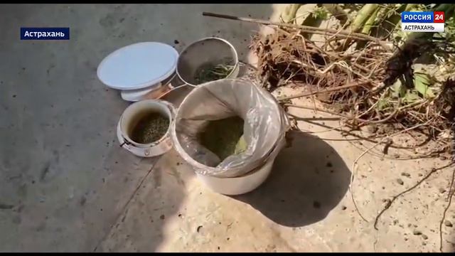 О противодействии наркопреступности смотреть онлайн