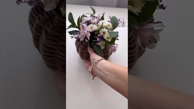 Тыква смотреть онлайн