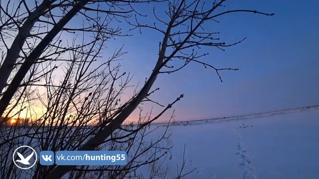 Лучшая охота на ворону 2023 часть 2 смотреть онлайн