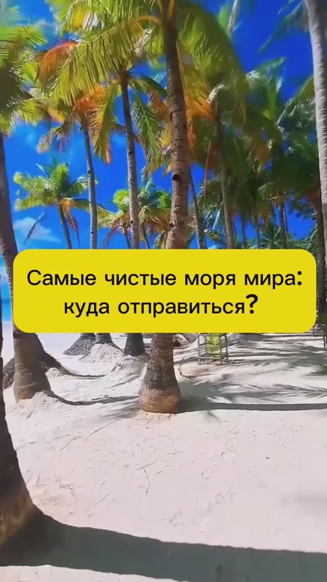 САМЫЕ ЧИСТЫЕ МОРЯ смотреть онлайн