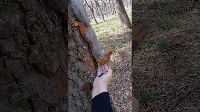 15 ноября 2023 г. (3).mp4 смотреть онлайн