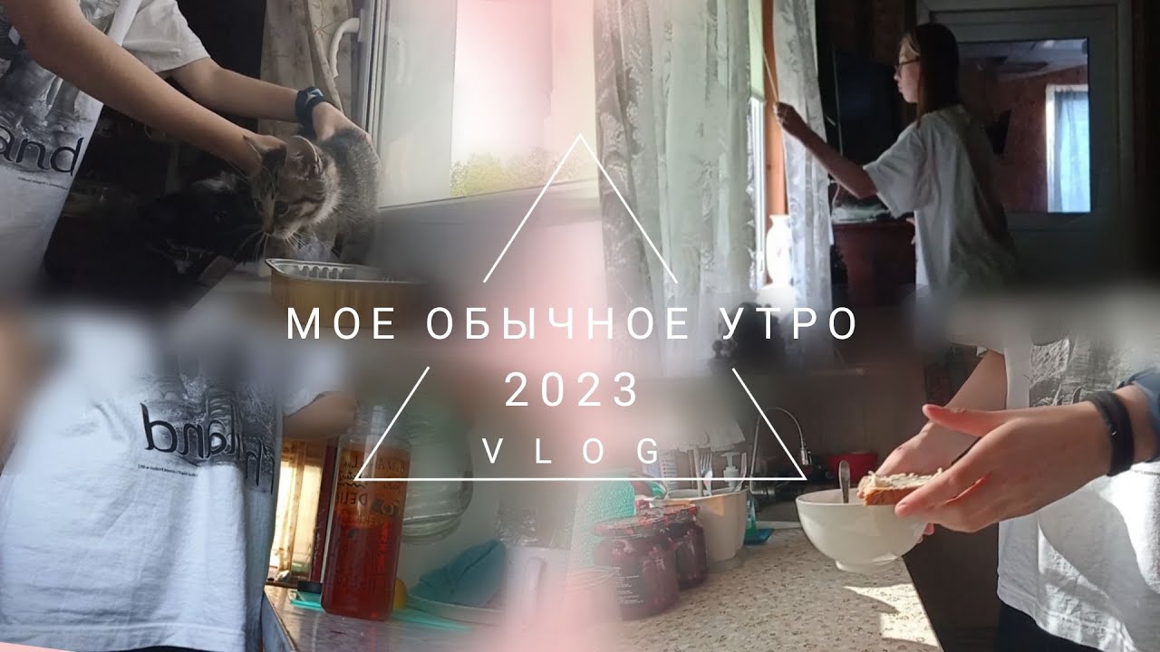 Обычное УТРО | VLOG смотреть онлайн