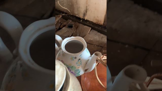 Находки на даче #дача #находки