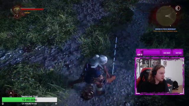 Witcher 2 Blind - Hunting some Harpies смотреть онлайн