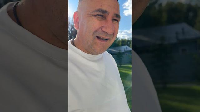 Кот встречает смотреть онлайн