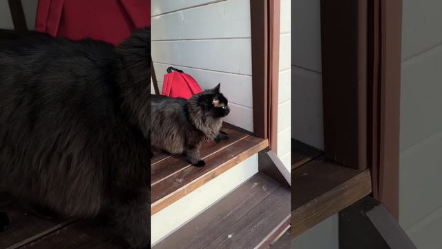 Больше не буду так делать смотреть онлайн