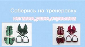 соберись на тренеровку #КонныйСпорт #Лошади #Амуниция #Horses