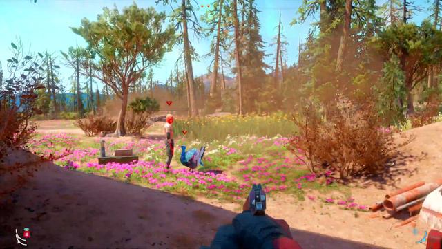 Far Cry® New Dawn: Someone has gone cold turkey, Animation glitch смотреть онлайн