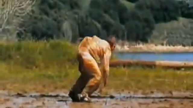 The Best of Jackass! смотреть онлайн