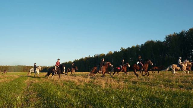 Конный клуб «Березит» смотреть онлайн