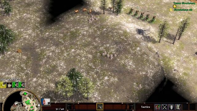 New Portuguese Gameplay Preview Age of Empires 3 Wars of Liberty Patch 1.0.15e 1 vs 1 смотреть онлайн