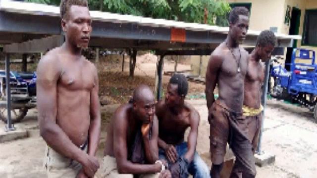 NDC Stronghold Harbouring Largest Wee Farm In West Africa Exposed By Joint Security смотреть онлайн