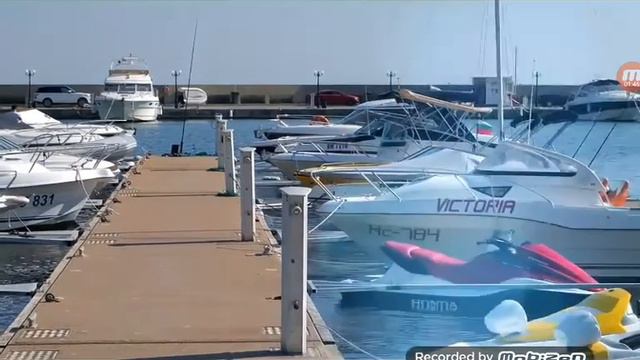 РЕАКЦИЯ НА ПИК ПУКК И ЧОКО ЧЕРЕШКА смотреть онлайн