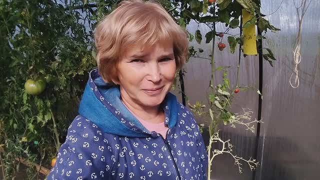 Жизнь в деревне. Хроника дня. смотреть онлайн