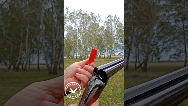 Лучшая немецкая горизонталка SAUER 8 #оружие #hunter #охота #патроны смотреть онлайн