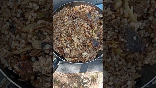 Супер еда на охоте. Гречневая каша с двумя селезнями. смотреть онлайн