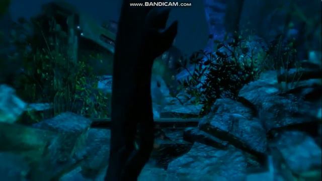Far Cry 3 Walkthrough Part 5!Willis!|Hacker K | смотреть онлайн