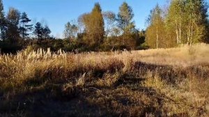 Продажа земельного участка