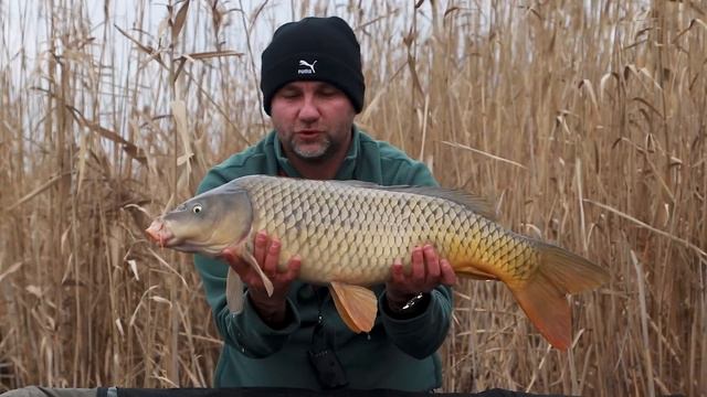 КАРПФИШИНГ 2023: ОТКРЫТИЕ СЕЗОНА В ЯНВАРЕ