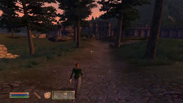 NPSee Oblivion Episode 26 - Bravil Castle - Cat Fighting смотреть онлайн