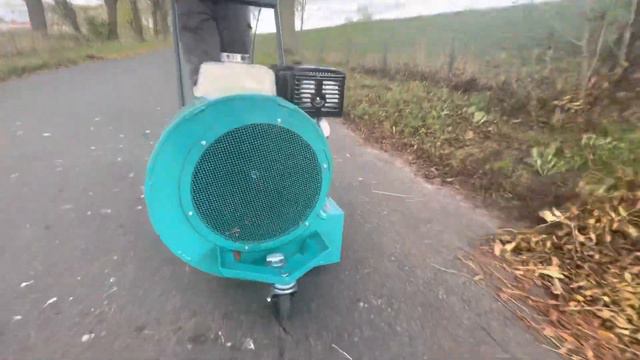 Профессиональная воздуходувка Remarc LB 8000