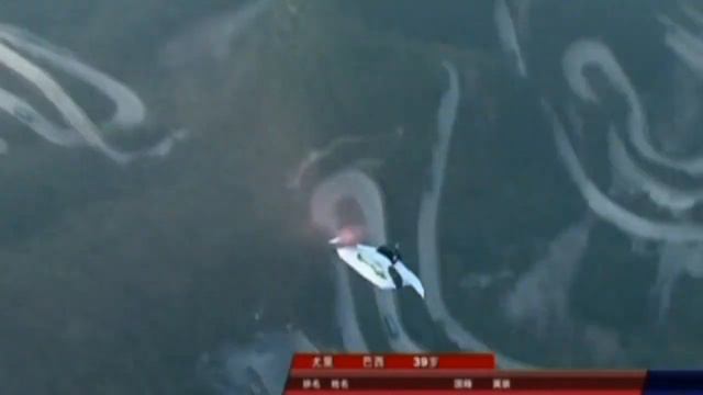 World's top wingsuit flyers thrill crowds in Wingsuit World Flying Contest смотреть онлайн