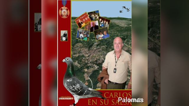 la cebada del libro de Carlos en su salsa смотреть онлайн