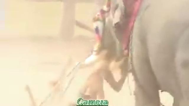 Elephant Attack смотреть онлайн