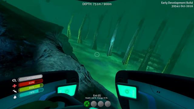 Subnautica - NEW REEFBACKS, BIOME AND SKULL!