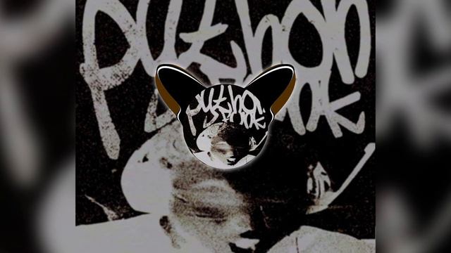 Python funk (быстрая версия) смотреть онлайн