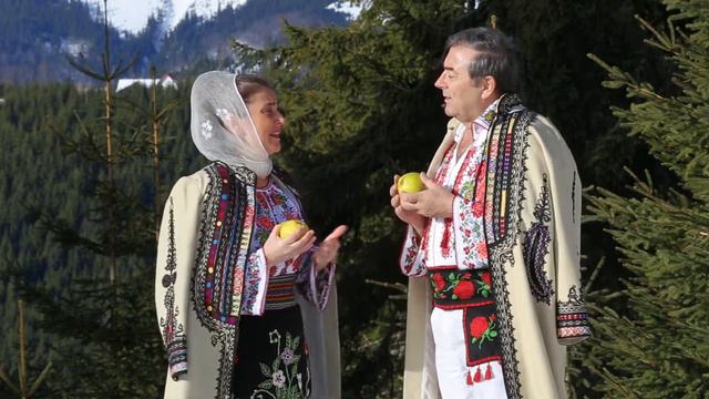 Gheorghe Luca si Maria Spînu - Galbena gutuie - dupa Nica Zaharia si Adrian Paunescu смотреть онлайн