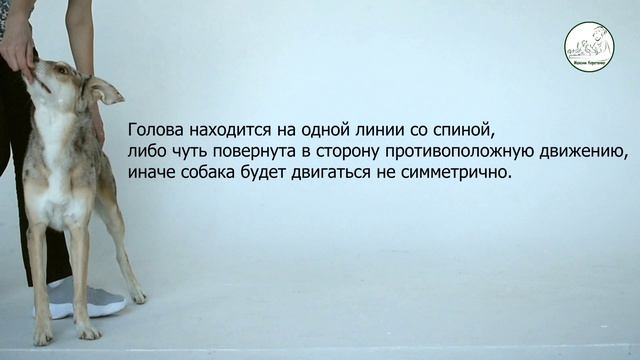 Шаги боком смотреть онлайн