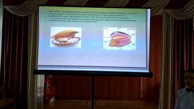 Прасолов Арсений школа№1590 Москва Кто такие перловицы смотреть онлайн